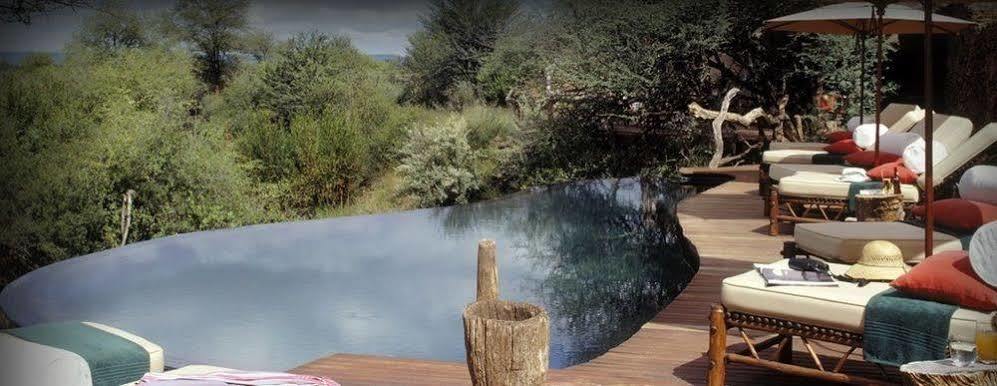 Sanctuary Makanyane Safari Lodge Madikwe Game Reserve Zewnętrze zdjęcie