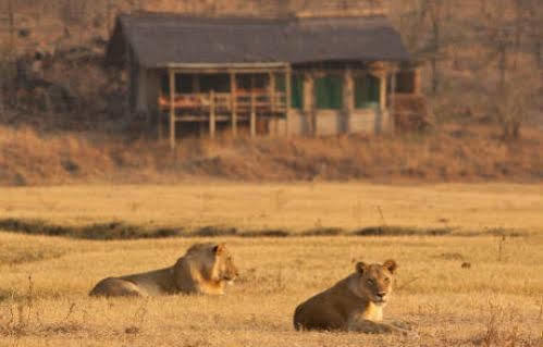 Sanctuary Makanyane Safari Lodge Madikwe Game Reserve Zewnętrze zdjęcie